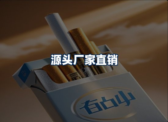 专业团队办公环境